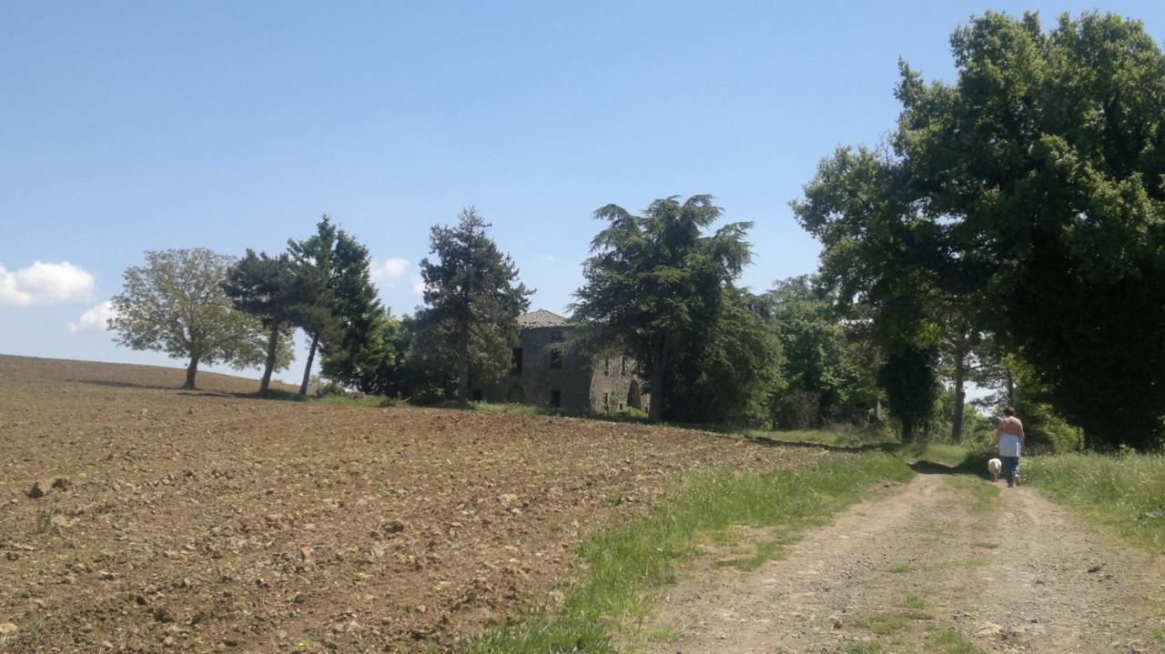 Appartamento Miralago Bolsena Ngoại thất bức ảnh